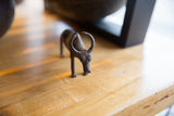 Close-up of the vintage African bronze zebu's face and rustic, curved horns.
