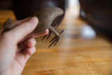 Textured bronze back and rustic feet of the African kori bustard bird.