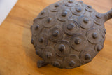 Collectible vintage African turtle, showing its dark, textured shell with concentric circles.