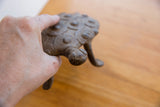 A hand against the vintage African turtle's textured shell with raised circular patterns.