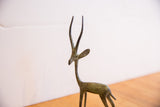 Aged, oxidized patina on the head and slender horns of a vintage African gazelle figure.