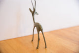 Rear profile of the vintage African gazelle highlighting its slender form and arched back.
