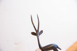 Carved texture and dark patina on the vintage gazelle's slender horns and ears.