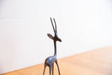 Detail of the vintage African gazelle's slender horns and head with a dark patina.