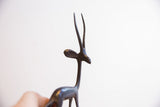 Dark patina on the slender head and graceful, textured horns of a vintage gazelle.