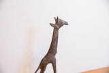 Angled view of the vintage African giraffe's head showing its oxidized patina.