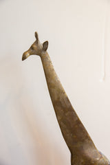 Head and neck of a vintage African giraffe showing its aged patina and textured finish.