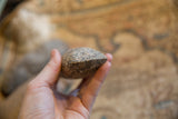 An antique Neolithic stone tool held to show its hand-carved edge and texture.
