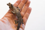 Vintage crocodile pendant held in a hand to illustrate its scale and aged texture.
