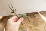 Brightly oxidized vintage African gazelle held in hand to show its scale.