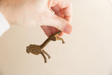 Small vintage African lion collectible held in hand to show its scale and patina.