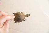 Vintage African turtle pendant held in hand to show its scale and aged patina.