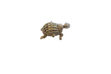 Vintage African turtle pendant with a textured, cross-hatch shell and aged patina.