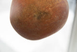 Aged patina with mottled earthy tones on the textured red slip ware pottery.