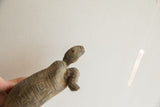 Detailed profile of the tortoise sculpture's head, showing its aged, weathered surface.