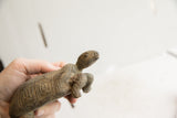 Expressive profile of the vintage tortoise sculpture's hand-carved face and head.