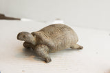 Profile view of a vintage tortoise sculpture showing hand-carved shell and textured surface.