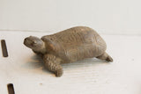 Earthy-toned vintage tortoise sculpture with hand-carved geometric patterns on its shell.