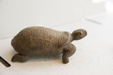 Side profile of the vintage African tortoise showing its rustic, carved shell.