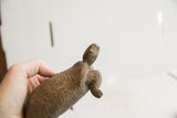 Side profile of the vintage African tortoise showing its simply carved head and neck.