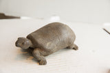 Side view of the vintage African tortoise collectible with hand-carved details.