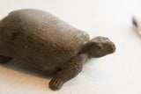 Angled view of the handmade tortoise sculpture showing its textured head and carved details.