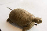 Angled view of the African tortoise figure, focusing on the incised geometric shell.