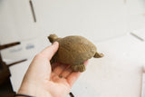 A hand holding the small tortoise sculpture, highlighting the carved geometric texture on its shell.