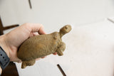 Vintage African tortoise sculpture held in hand to demonstrate its collectible size.