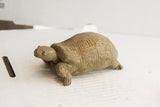 Side view of a handmade tortoise sculpture highlighting its textured, incised shell.