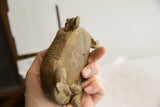 Hand-carved African tortoise sculpture showing its weathered texture and scale in hand.