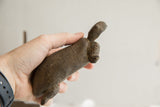 A hand holds the vintage African tortoise sculpture, showing its side profile and carved shell.