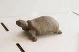 Angled view of a vintage African tortoise's carved geometric shell and aged patina.
