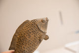 Angled profile of the vintage fish sculpture's head, showing hand-carved texture.