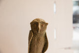 Textured surface and patina on the right side of the vintage African owl sculpture.