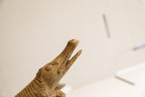 Upward view of the crocodile's head, showing the textured open mouth and aged, worn snout.