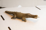 Angled profile of the hand-carved African crocodile sculpture with a fish held in its mouth.