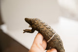 Side profile of the vintage pangolin sculpture's head, showing its rustic, scaled texture.