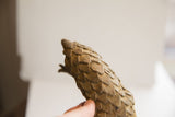 Angled detail of the vintage pangolin sculpture's head and rustic scale texture.