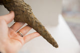 Hand holding the pangolin sculpture's tail, showing the texture of its earthy, overlapping scales.