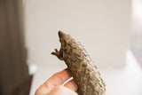 Detailed profile of the vintage African pangolin sculpture's hand-carved head.
