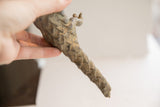 The rustic, scale-like texture of the vintage pangolin's segmented tail.