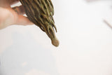 Detailed view of the textured, sculpted tail on the African porcupine sculpture.