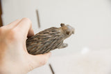 Hand holding the vintage African porcupine sculpture, showing its handmade textured body.