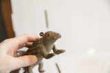 A hand holding the vintage African porcupine sculpture, showing its scale and texture.