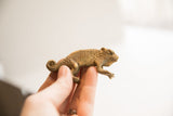 Hand-held view of the vintage chameleon figurine, highlighting its small size and rough texture.