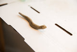 Weathered texture and simple carved features on the vintage African snake figurine's head.