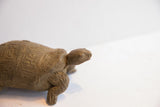 Simple form of the vintage tortoise sculpture's head showing its earthy, carved texture.
