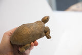 Vintage tortoise sculpture held in hand to show its collectible size and texture.