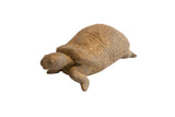 Hand-carved vintage African tortoise sculpture with a textured, geometric patterned shell.